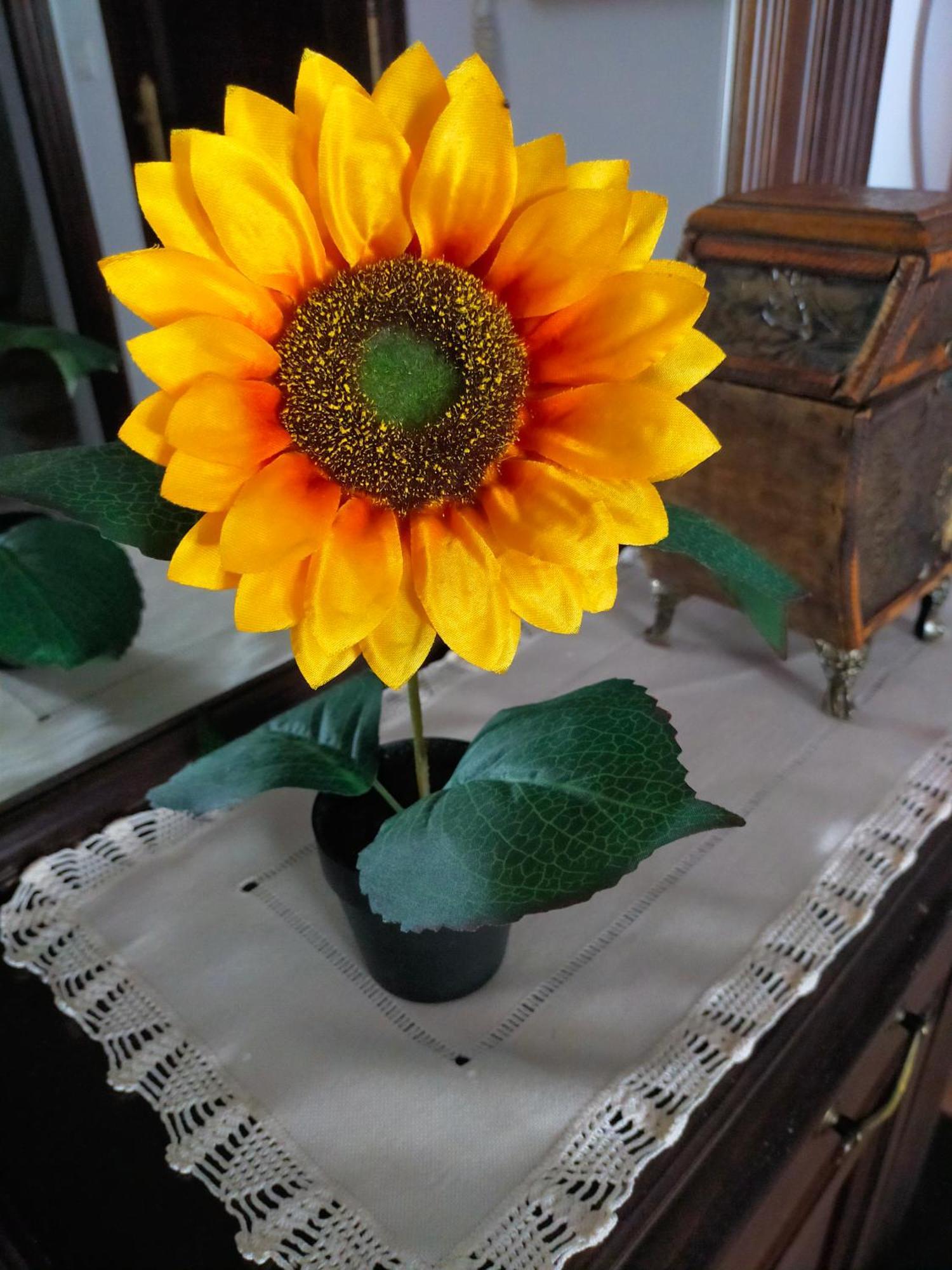 Los Girasoles Olvera Exterior photo