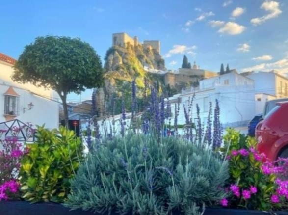 Los Girasoles Olvera Exterior photo